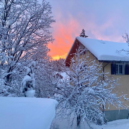 Ferienwohnung Haus Am Bach In Toggenburg Wildhaus Eksteriør bilde