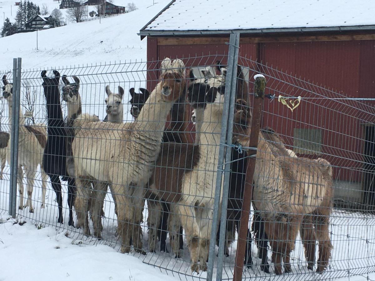 Ferienwohnung Haus Am Bach In Toggenburg Wildhaus Eksteriør bilde