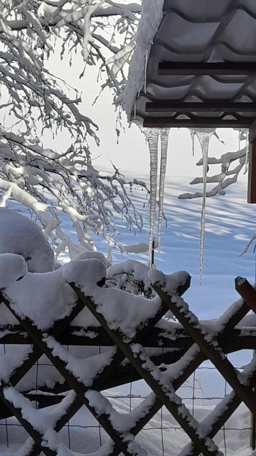 Ferienwohnung Haus Am Bach In Toggenburg Wildhaus Eksteriør bilde