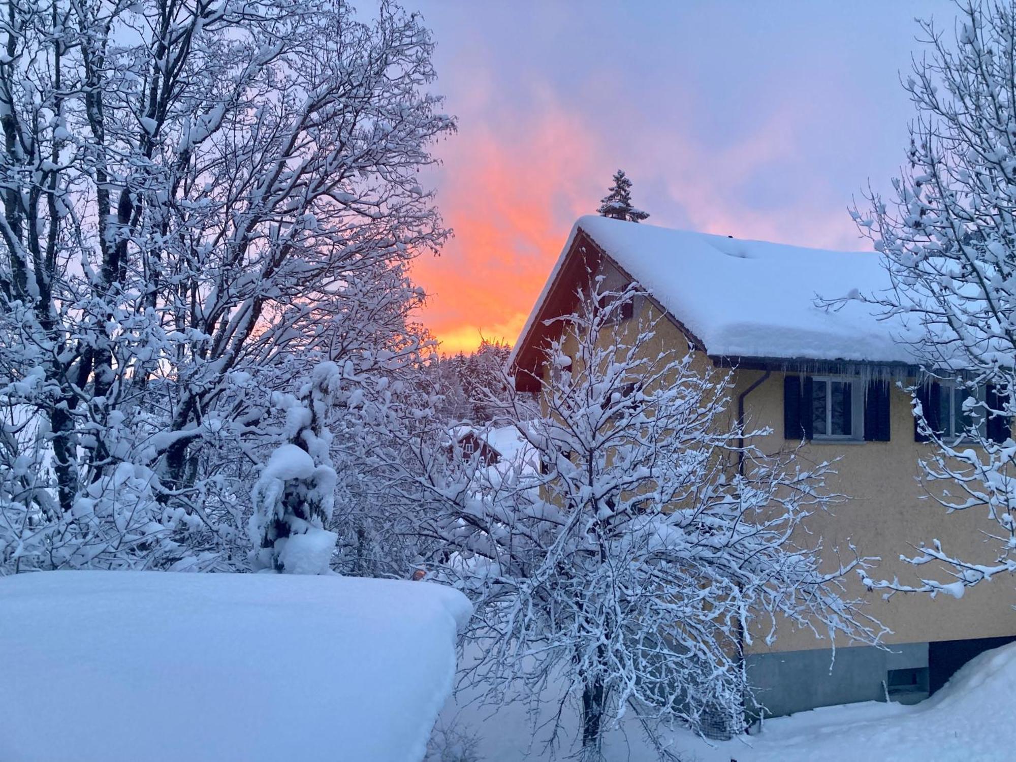 Ferienwohnung Haus Am Bach In Toggenburg Wildhaus Eksteriør bilde