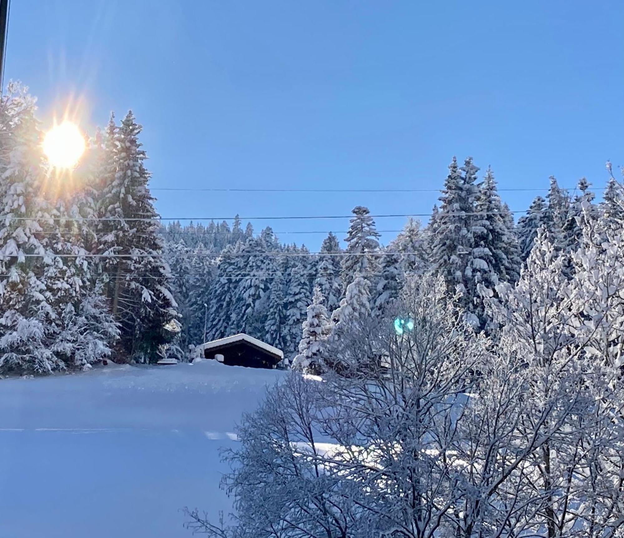 Ferienwohnung Haus Am Bach In Toggenburg Wildhaus Eksteriør bilde