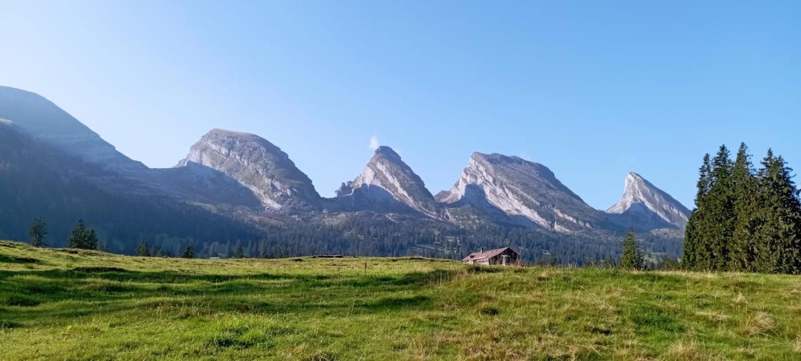 Ferienwohnung Haus Am Bach In Toggenburg Wildhaus Eksteriør bilde