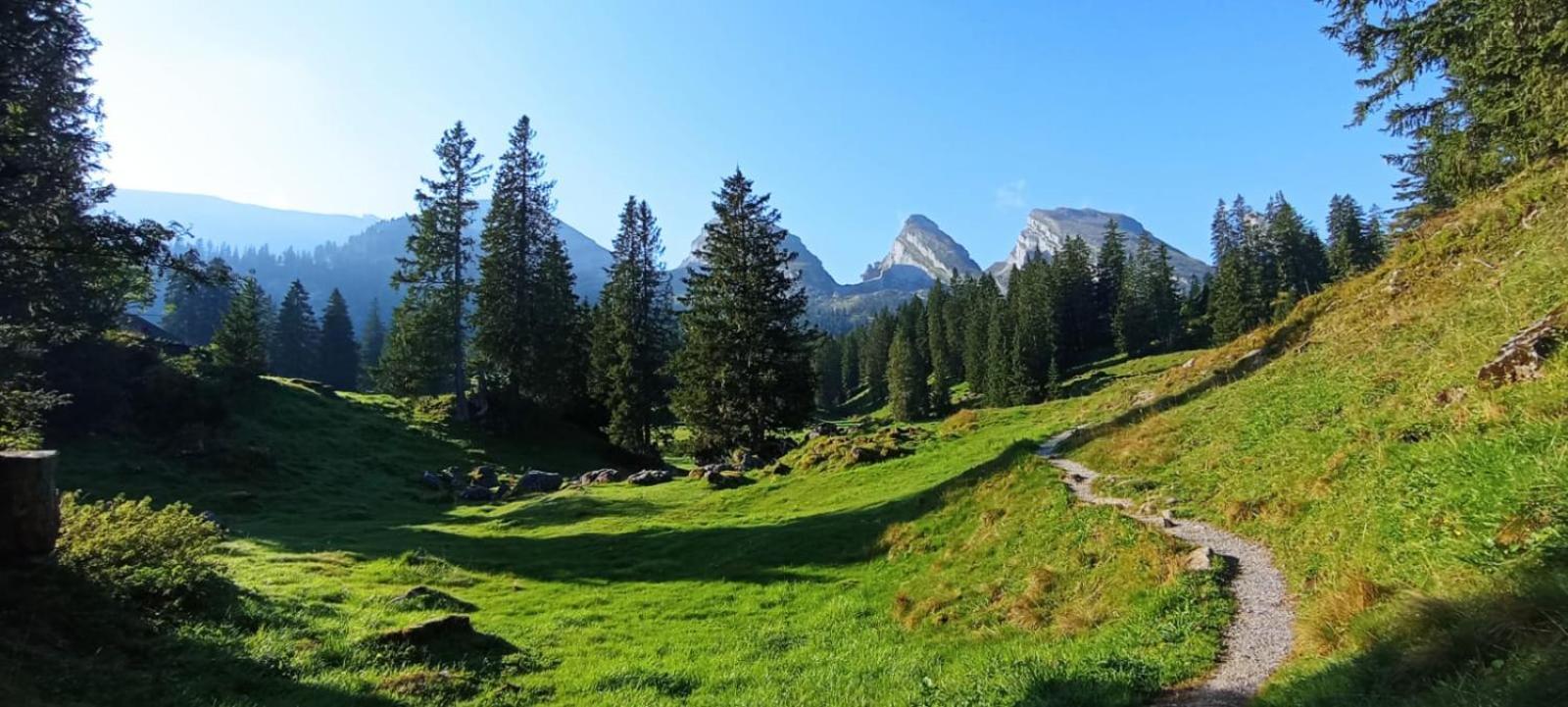 Ferienwohnung Haus Am Bach In Toggenburg Wildhaus Eksteriør bilde